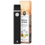 Hemnia Cartridge Balance of Mind 40% CBD 40% CBG 20% CBN 1ml – Zboží Dáma
