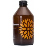 Vigo Kombucha acerola a zázvor bio 315 ml – Sleviste.cz