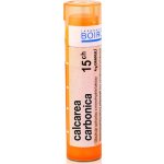CALCAREA CARBONICA POR 15CH GRA 1X4G – Hledejceny.cz