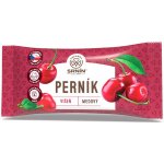 Rej Food Srnín Medový perník s višněmi 60 g – Hledejceny.cz