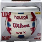 Wilson AVP Hawaii Beach Frisbee Kit – Zbozi.Blesk.cz