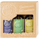 Tierra Verde Sada osvěžovačů vzduchu - K provonění zimních dní 4 x 100 ml – Zboží Dáma