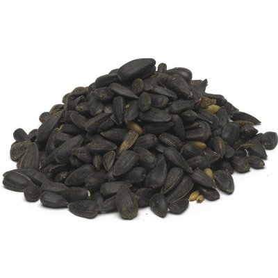 Pesan Slunečnice černá 15 kg – Zboží Dáma