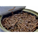 LK Baits Natur Canned Bloodworms 100 g – Sleviste.cz