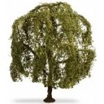 Noch Smuteční vrba – Sleviste.cz