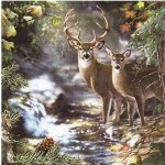 Home Fashion ubrousek 33x33cm Jelen a srnka u potoka – Zboží Dáma