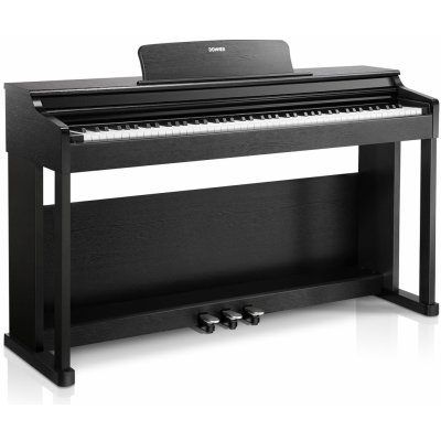 Donner DDP-100 – Sleviste.cz