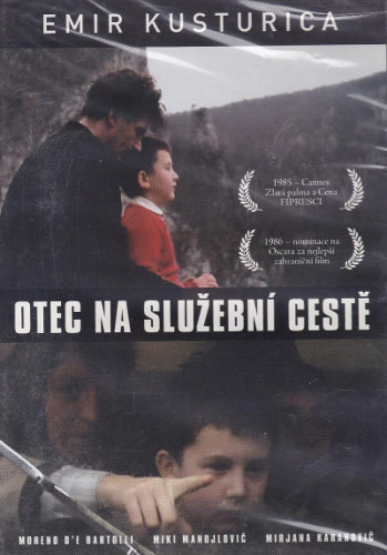 Otec na služební cestě - DVD