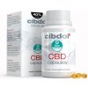 Doplněk stravy na spánek a nervovou soustavu Cibdol CBD 40% 4000 mg 60 kapslí