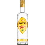 Dynybyl Special Dry Gin 37,5% 0,5 l (holá láhev) – Zboží Dáma