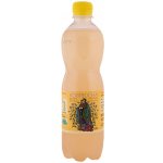 Stevikom bio Kombucha s heřmánkem 500 ml – Zboží Mobilmania