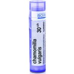 CHAMOMILLA VULGARIS POR 30CH GRA 1X4G – Hledejceny.cz