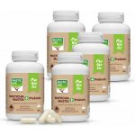 Masticlife Prebiotic 4+1 800 kapslí – Hledejceny.cz