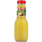 Granini Ananas nektar 200 ml – Zboží Dáma