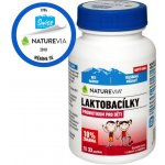 Swiss NatureVia Laktobacily třešňové 33 pastilek – Hledejceny.cz