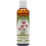 Naděje Echinacea tinktura z byliny 50 ml – Hledejceny.cz