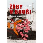 Žáby v bouři - Operace Barbarossa naruby – Zboží Mobilmania