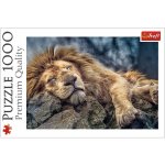 Trefl 10447 Spící lev 1000 dílků – Zboží Dáma