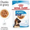 Kapsička pro psy Royal Canin Maxi Puppy 20 x 140 g