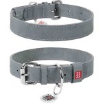 CoLLaR Obojek kožený WAUDOG Classic – Sleviste.cz