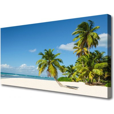 Obraz na plátně Pláž Palma Moře Krajina 100x50 cm – Zboží Mobilmania