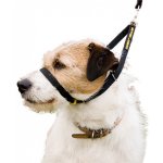 Canny Collar obojek výcvikový – Sleviste.cz
