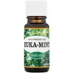 Saloos esenciální olej Euka-mint 10 ml – Hledejceny.cz