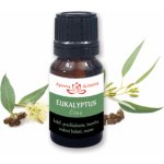 Altevita Bio esenciální olej 100% Eukalyptus 10 ml – Hledejceny.cz
