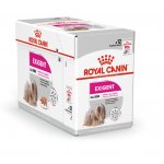 Royal Canin Exigent Dog Loaf 12 x 85 g – Hledejceny.cz