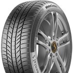 Continental WinterContact TS 870 P 225/60 R17 99H – Hledejceny.cz