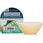 Yankee Candle Christmas Cookie vosk do aromalampy unisex 22 g – Hledejceny.cz