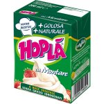 Trevalli Hoplá Krém slazený rostlinný 26% 200 ml – Zbozi.Blesk.cz