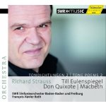 Strauss - Complete Tone Poems Vol.2 - SWR Sinfornieorchester Baden-Baden und Freiburg CD – Hledejceny.cz
