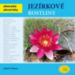 Jezírkové rostliny – Hledejceny.cz