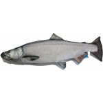 Gaby polštář ryba Losos stříbrný 90 cm – Zboží Dáma