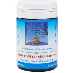 TCM Herbs Zátiší poustevníka Changa 100 tablet – Hledejceny.cz
