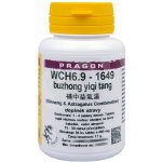Pragon WCH6.9 1649 36 tablet – Hledejceny.cz