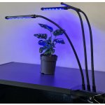 Gardlov 19242 – Zbozi.Blesk.cz