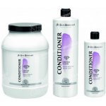 IV San Bernard Cristal Clean ISB 500 ml – Zboží Dáma