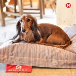 Silviger Sharebag Pelíšek – Hledejceny.cz