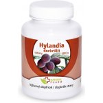 Natural Pharm Hylandia dockrillii Blushwood 200 tablet při onkologických onemocněních – Hledejceny.cz