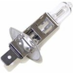 NTY Žárovka Halogenová H112V55W Halogen Bulb H1 12V 55W Standard/base Type: P14 5S (EZ-H112V55W) – Hledejceny.cz