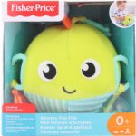 Fisher-Price rybička s aktivitami GFC36 – Zbozi.Blesk.cz