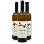 Papari Valley Chinuri Rkatsiteli Kvevri bílé suché víno 2020 12,5% 0,75 l (holá láhev) – Hledejceny.cz