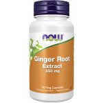 Now Foods Ginger Root Extract Kořen zázvoru 250 mg x 90 rostlinných kapslí – Hledejceny.cz