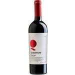 Domaine Boyar Quantum Pinot Noir x Merlot červená 2022 14% 0,75 l (holá láhev) – Hledejceny.cz