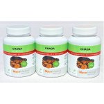 MycoMedica Chaga Čaga VEGAN 3 x 90 kapslí – Hledejceny.cz