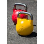 StrongGear Kettlebell 48 kg – Zboží Mobilmania