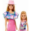 Panenka Barbie Barbie Stacie a Barbie 2-balení panenek HRM09