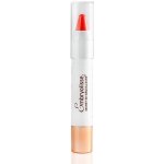 Embryolisse Balzám na rty Artist Secret Coral Nude 2,5 ml – Zboží Dáma